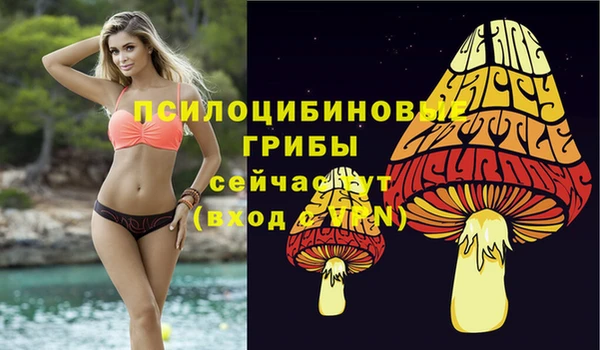 бутират Баксан