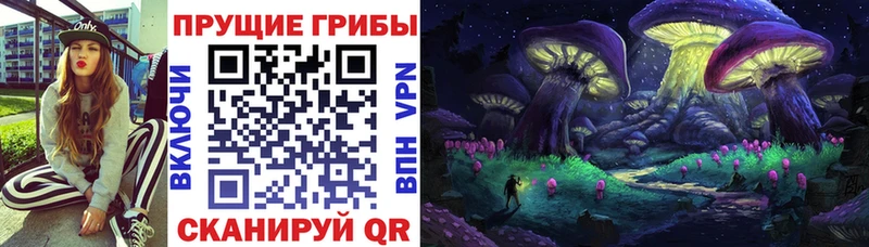 Псилоцибиновые грибы мицелий  MEGA рабочий сайт  Сельцо  где купить наркоту 
